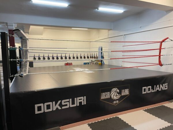 Boxring mit dem eigen Logo gestalten