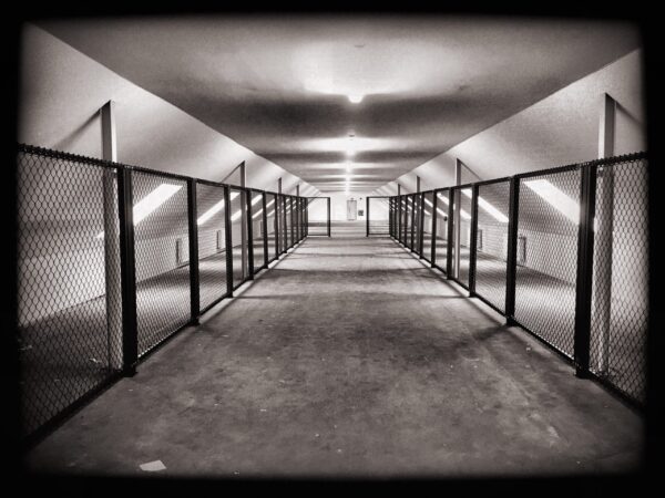 enlight4