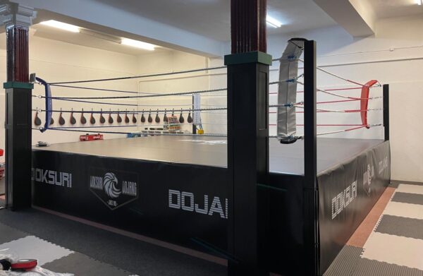 Boxring mit Logo auf den Seitenteilen