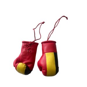 miniboxhandschuhe belgien.JPEG