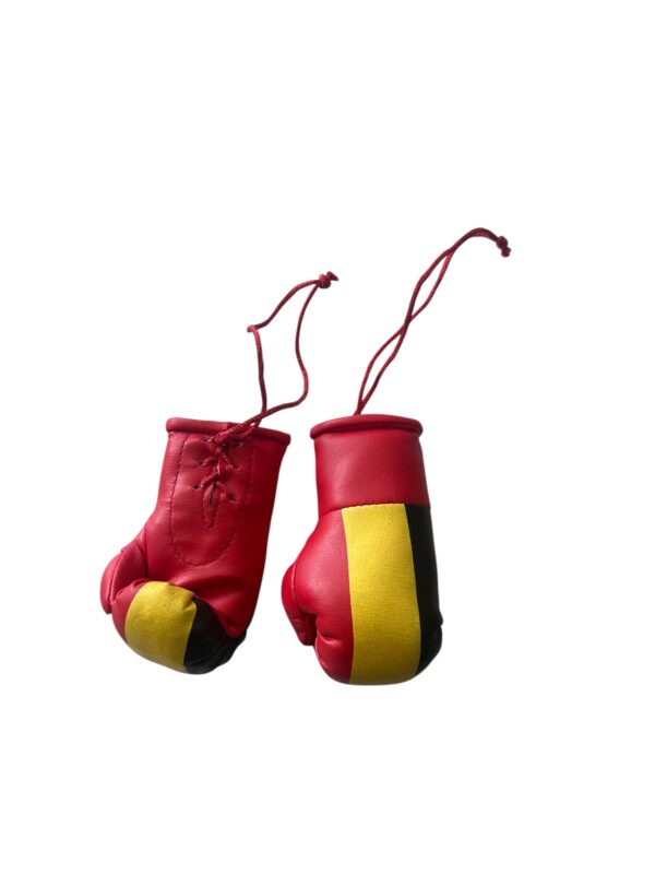 miniboxhandschuhe belgien.JPEG