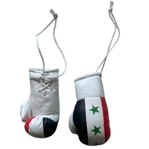 miniboxhandschuhe Syrien.JPG