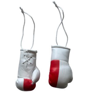miniboxhandschuhe Polen.JPG