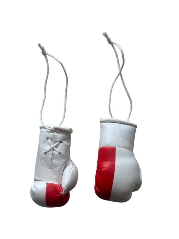miniboxhandschuhe Polen.JPG