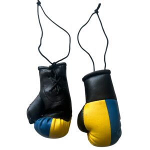 miniboxhandschuhe ukraine.JPG
