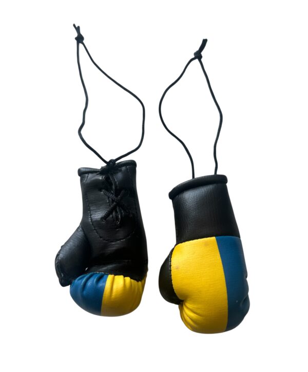 miniboxhandschuhe ukraine.JPG