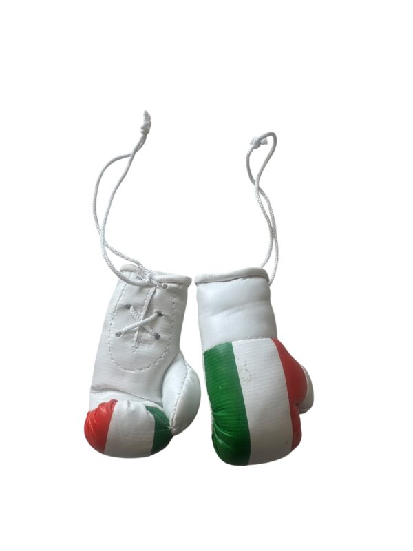 miniboxhandschuhe Italien.JPEG