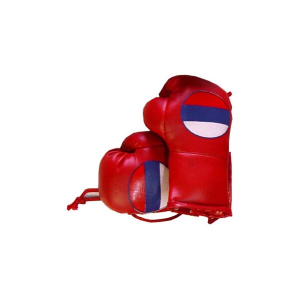 Mini Boxhandschuhe, rot, Russland Flagge - 1.jpg