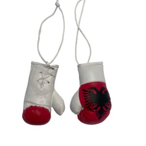 miniboxhandschuhe albanien.JPG