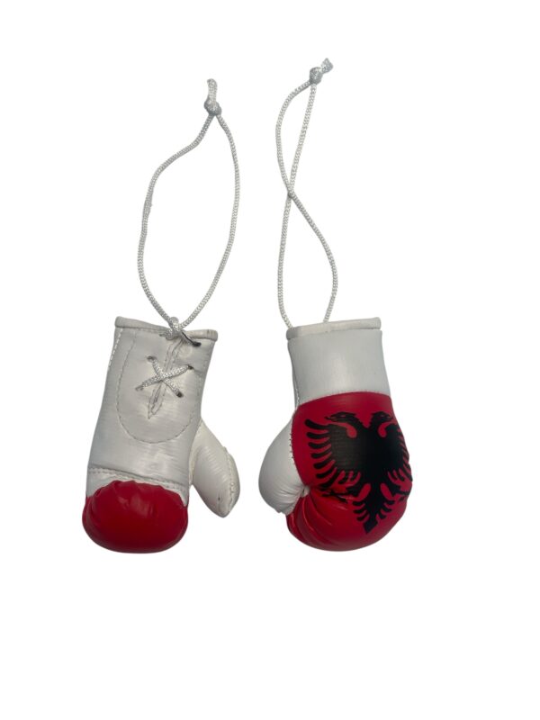 miniboxhandschuhe albanien.JPG